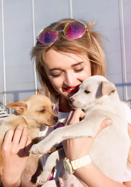 Summer young girl with puppies — ストック写真