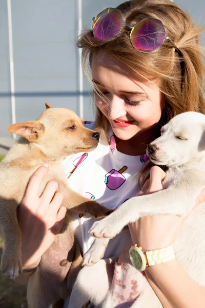 Summer young girl with puppies — ストック写真