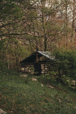 Dağlardaki ormandaki ahşap ev.