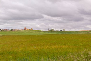 Bulutlu bir günde arka planda bir kasaba olan mısır gevreği tarlası