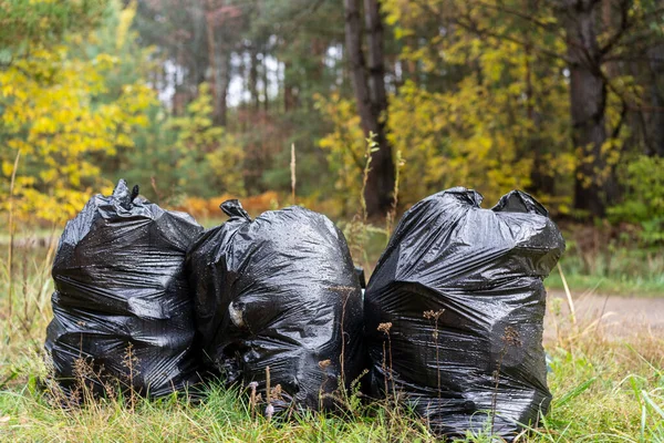 Collecting garbage in plastic bags on a forest road. Concept, ecology, love of nature, volunteering