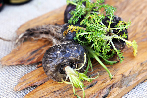 Fresh Peruvian Maca or Peruvian ginseng (lat. Lepidium meyenii). Black Maca in rustic wooden background. Selective focus.
