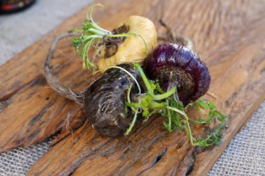 Tahtada üç farklı Peru Macası var..