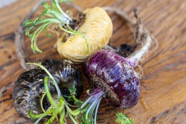 Tahtada üç farklı Peru Macası var..