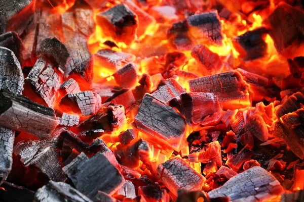 Kömür BBQ Ateş Izgarası.