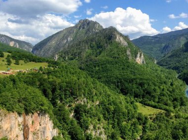 Karadağ 'daki Curdjevica Tara nehir köprüsü yakınlarındaki çarpıcı manzara