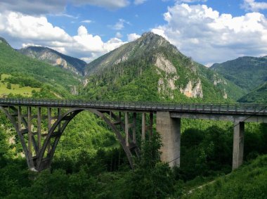 Karadağ 'daki Curdjevica Tara nehir köprüsü yakınlarındaki çarpıcı manzara