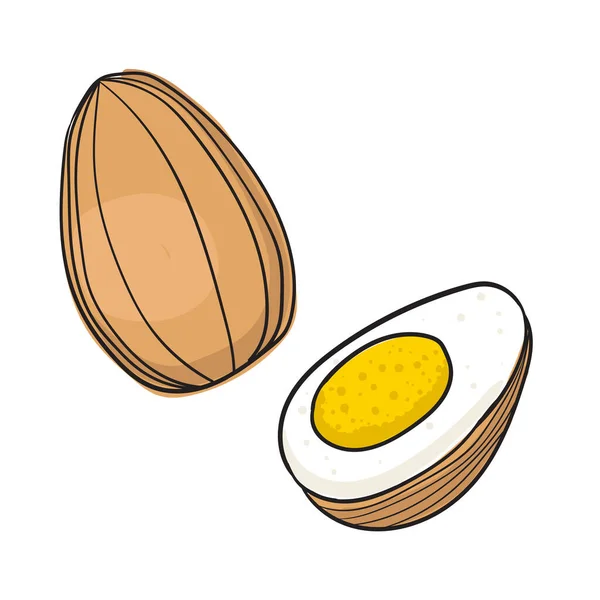 Vektorillustration Eines Halben Und Eines Ganzen Eies Mit Beigen Weißen — Stockvektor