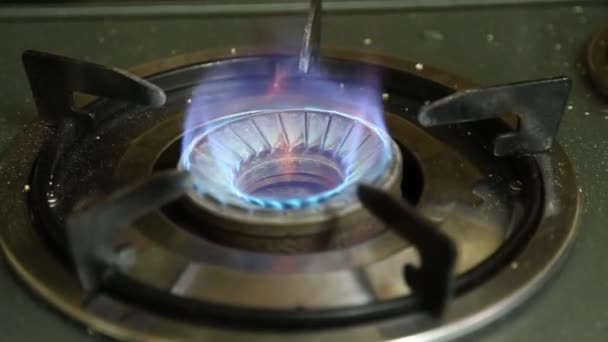 Lpg煤气炉火焰 — 图库视频影像