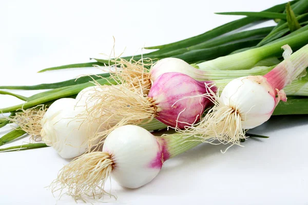 Zelenina Jarní Cibule Izolované Bílém Pozadí — Stock fotografie