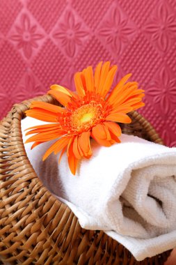 Banyo, kaplıca ve sağlık kurulumu