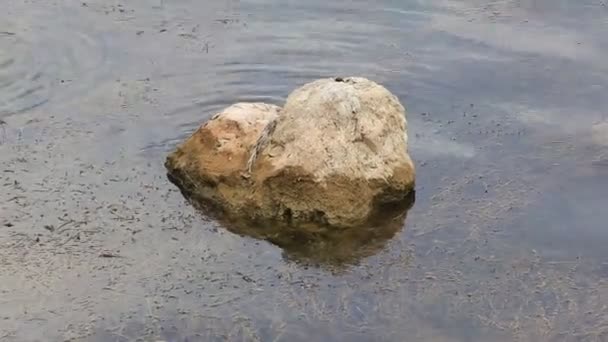 Grani Sabbia Rocce Galleggiamento Una Spiaggia Calda Giornata Estiva — Video Stock