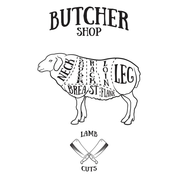 Esquema de cortes de açougue de cordeiro ou carneiro —  Vetores de Stock