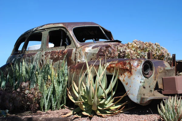 Rusted Car Garden