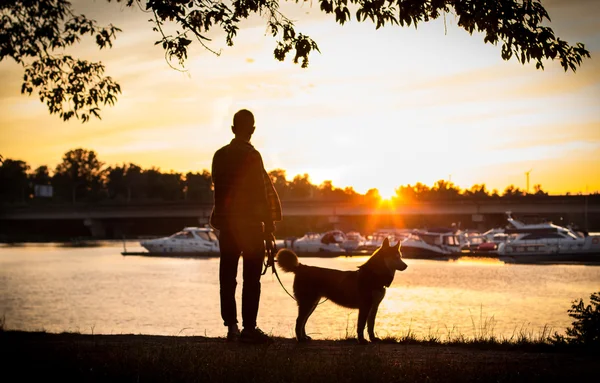 Der Typ mit dem Hund, der den Sonnenuntergang auf der Anklagebank beobachtet. — Stockfoto