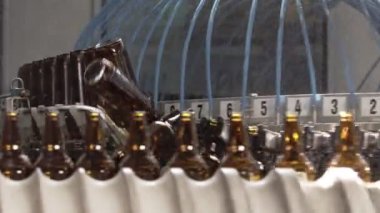 Taşıyıcı bantta bira şişeleri. Temizlik sahnesi. Bira fabrikası. yakın plan.