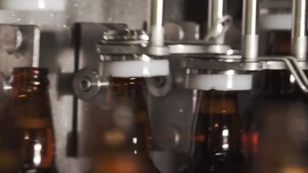 Botellas de cerveza en una cinta transportadora. instalación de una tapa de botella. Primer plano. cervecería. — Vídeos de Stock