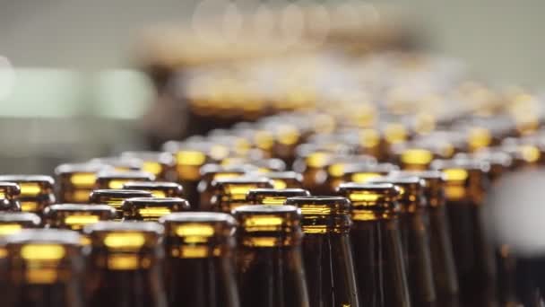 Botellas de cerveza en una cinta transportadora. El cuello de una botella de cerveza. plan macro. cervecería. — Vídeos de Stock