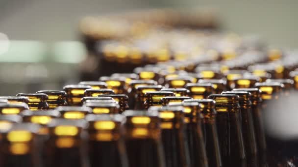 Beer bottles on a conveyor belt. The neck of a beer bottle. macro plan. brewery. — Stock Video