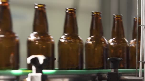 Taşıyıcı bantta bira şişeleri. Temizlik sahnesi. Bira fabrikası. yakın plan. — Stok video