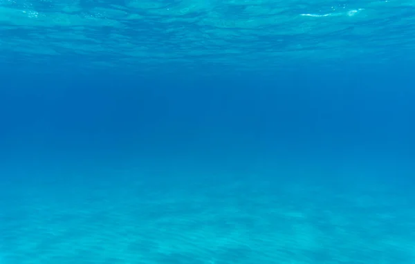 Kumla kaplanmış temiz deniz yatağı. sualtı araştırması.