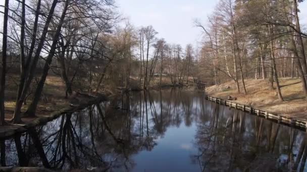 Piccolo Fiume Nella Foresta Primaverile Aerea — Video Stock