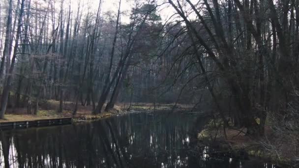 Piccolo Fiume Nella Foresta Primaverile Aerea — Video Stock