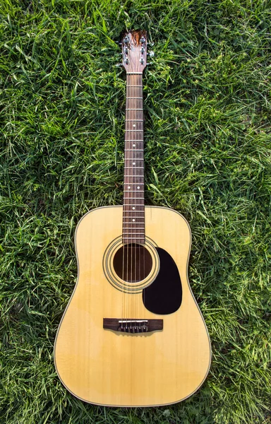 akustik gitar izole çimenlerin üzerinde