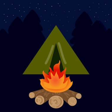 The camp campfire at night