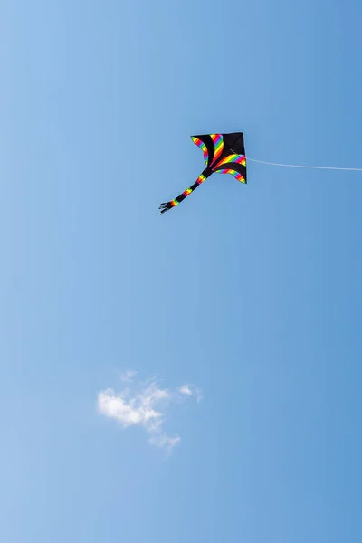 Meerkleurige Eensnarige Stuntvlieger Tegen Lucht Delta Vorm Vlieger — Stockfoto