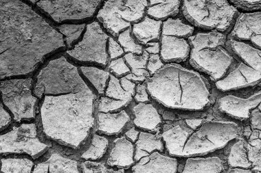 Çatlamış bir zemin dokusu, arka plan olarak kullanılacak kuraklıktan sonra oluşmuştur..