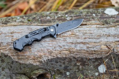 Yağmurlu bir günde ormanda bir kütüğün üzerinde duran küçük katlanmış bıçak.