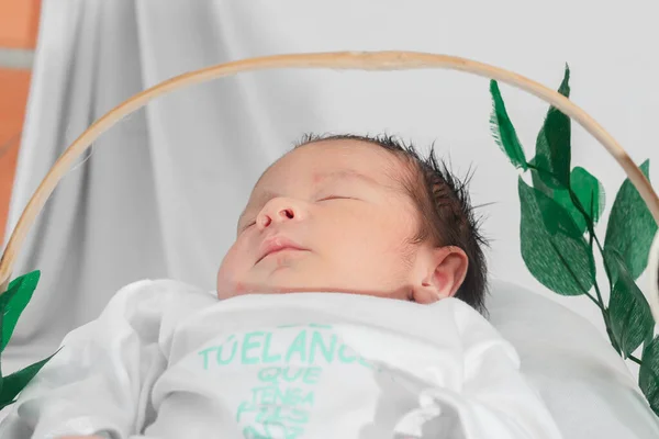 Bellissimo Neonato Giorni Dorme Cesto Fibra Bambù Circondato Foglie Verdi — Foto Stock