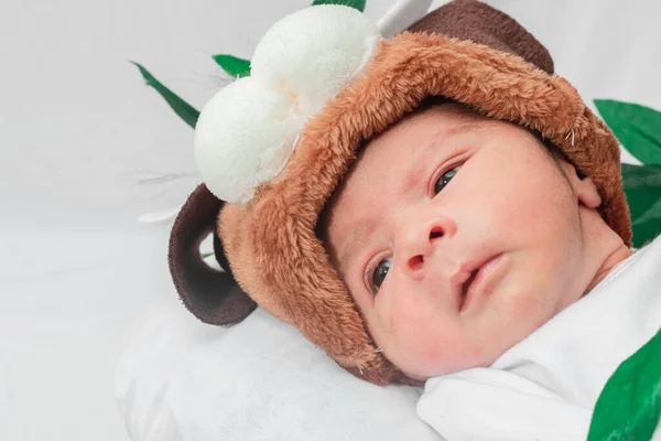 Bellissimo Neonato Giorni Cappello Cucciolo Occhi Aperti Cesto Fibra Bambù — Foto Stock