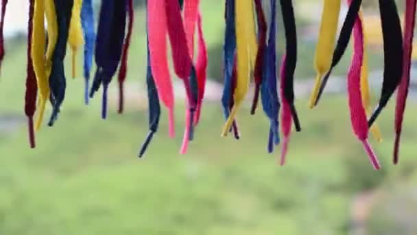 Préservatifs Chaussure Suspendus Sur Fond Vert Balançant Sur Une Corde — Video