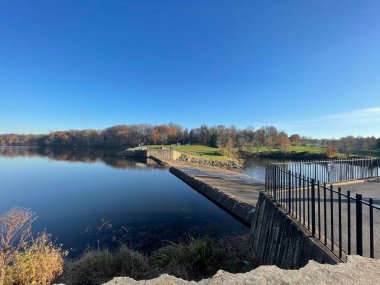 Sonbaharda ormanın yakınındaki bir parkta göl
