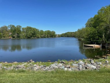 Ormanlarla çevrili bir parkta göle bakan