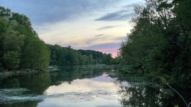 Parkta ağaçlarla çevrili gün batımına bakıyorum.
