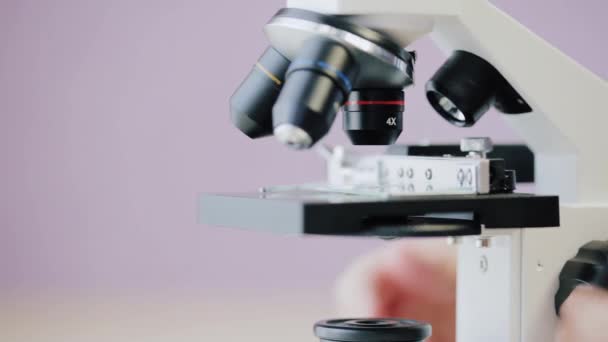 Настройка фокуса микроскопа — стоковое видео
