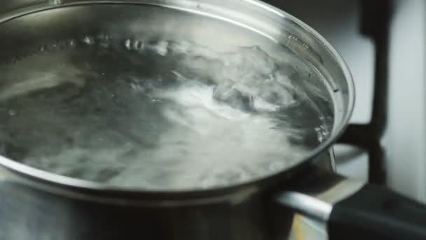 Forrásban lévő vízben egy pot forrt — Stock videók