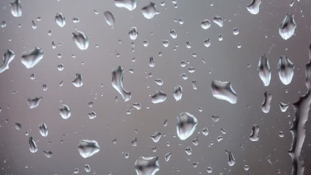 Gotas de lluvia corriendo por un cristal de ventana — Vídeos de Stock