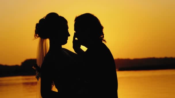 Silhouette of wedding couple at sunset. — Stock Video