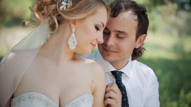 The groom gently kisses the bride. Summer, sunny day. — Stock Video