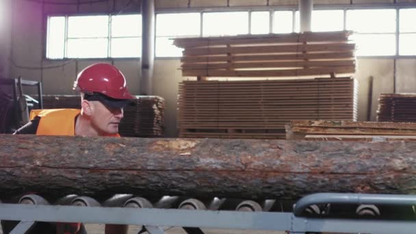 Lumber industry - Sort wooden boards after cutting. — Stock Video