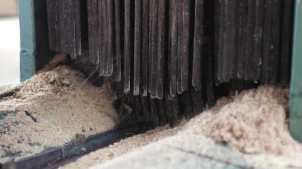 Βιομηχανία ξυλείας - πεύκο καταγραφής καλεί στο δίσκο για πριόνισμα. — Αρχείο Βίντεο
