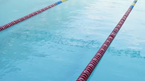 Ögonblick dykning idrottsman i simning. — Stockvideo