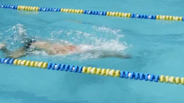 Yüzme Yarışması. Yüzücü yüzer bitirmek için. — Stok video