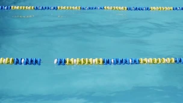 Competencia de natación. Nadador profesional nada de izquierda a derecha . — Vídeo de stock