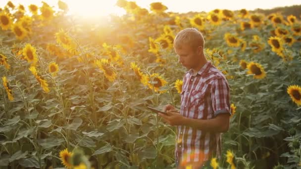 Agricultor trabalhando com o tablet . — Vídeo de Stock