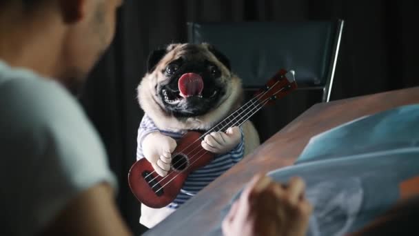 Takım elbiseli ve gitarlı bir ressama poz veren komik pug köpeği, köpek resmi çizen bir adam. — Stok video